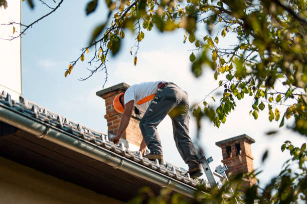 Best Roof Waterproofing Services  in Collinwood, TN