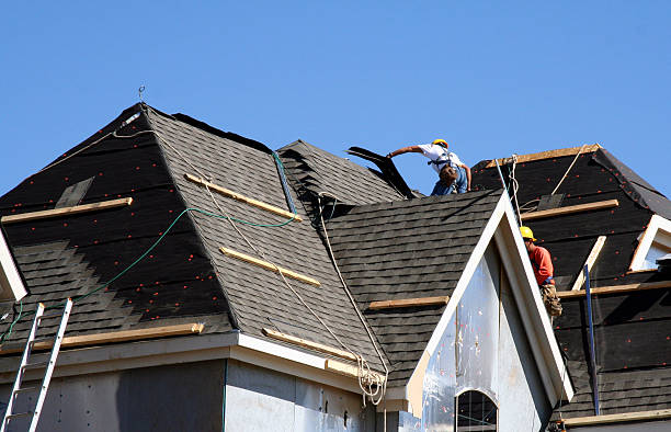 Best Gutter Installation and Roofing  in Collinwood, TN
